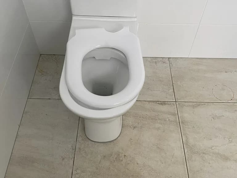 Tap and Toilet Repair Service